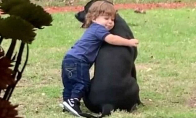 Μπόμπιρας πηγαίνει στον σκύλο της οικογένειας και η συνέχεια είναι… μαγική!