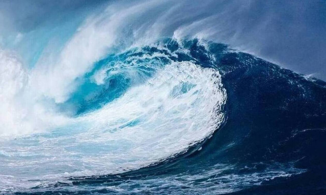 Η ψαριά του τρόμου! Δείτε τι έβγαλε από τη θάλασσα