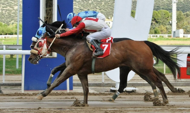 Markopoulo Park: Μεγάλα κέρδη μοίρασε το ΣΚΟΡ 6