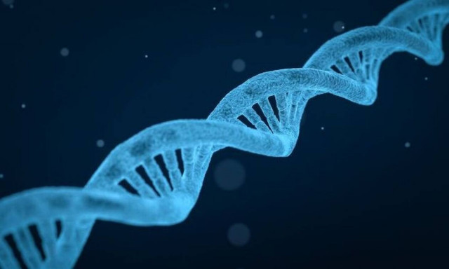 Απίθανο: Βρέθηκε τσίχλα 5700 ετών με ανθρώπινο DNA