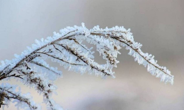 Χριστούγεννα 2019: Ανατροπή με τον καιρό - Τι λένε οι μετεωρολόγοι