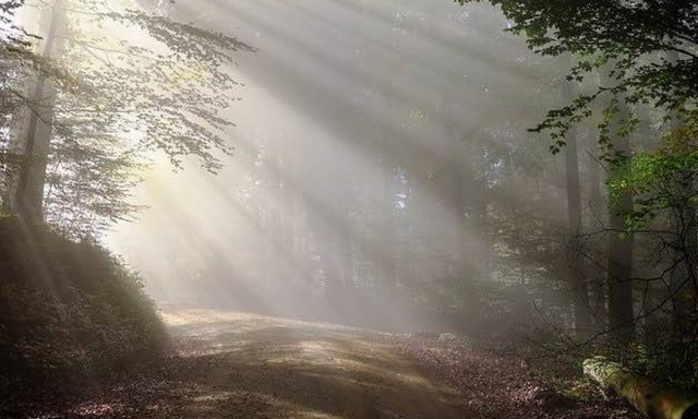 Δες πώς μεταμόρφωσε τη Χαλκίδα η ομίχλη ένα πρωινό