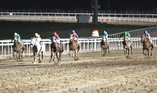 Markopoulo Park:  Έπαθλα 25.000 ευρώ και 28 κορυφαίοι ίπποι στα Winter Challenge