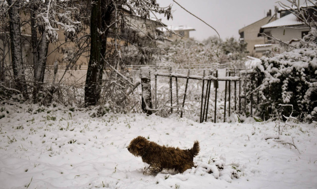 Καιρός: Ψυχρή εισβολή με χιόνια τα επόμενα 24ωρα –  Τσουχτερό κρύο μέχρι την Πρωτοχρονιά