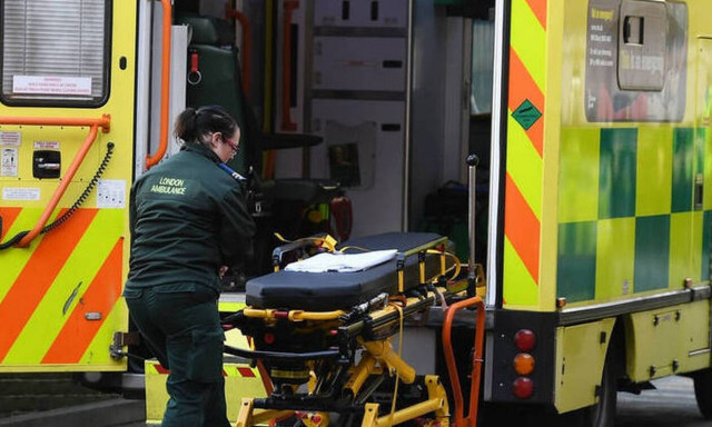 Αχαΐα: Έβγαλε το σκύλο της βόλτα και βρέθηκε στην εντατική