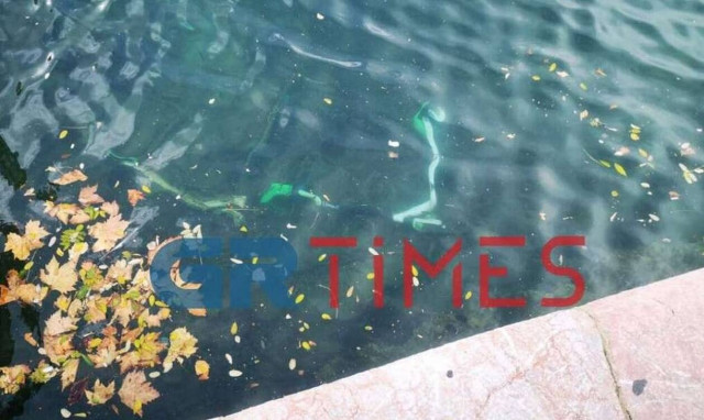 Θεσσαλονίκη: Πατίνια στον... βυθό!