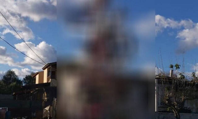 Αυτό το χριστουγεννιάτικο δέντρο σίγουρα δεν μοιάζει με τα άλλα - Τι παράξενο έχει;