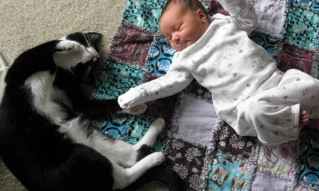 Ναζιάρα γάτα βγάζει…. λατρεία σε μωράκι! (vid)