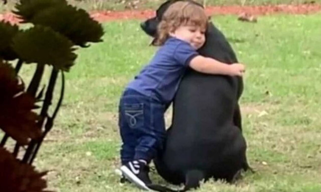 Μπόμπιρας πηγαίνει στον σκύλαρο της οικογένειας και η συνέχεια είναι απίθανη! (vid)