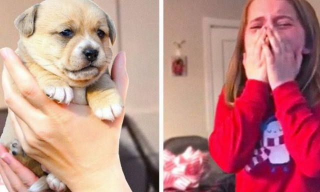 Η αγάπη ΟΛΟΥ του κόσμου σε ένα υπέροχο βίντεο!