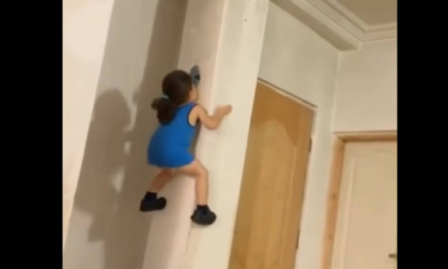 Αυτό το κοριτσάκι το έχει βάλει σκοπό να σκαρφαλώσει όσο πιο ψηλά μπορεί (vid)