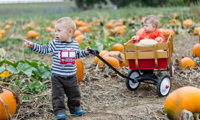 Βρέφος 17 μηνών: Πώς θα βοηθήσετε το παιδί σας να επικοινωνεί σωστά στους 17 μήνες