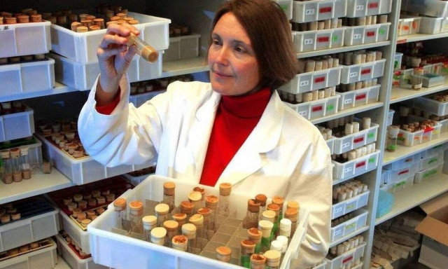 Δολοφονία βιολόγου στην Κρήτη: Τι ζητά η σύζυγος του δράστη