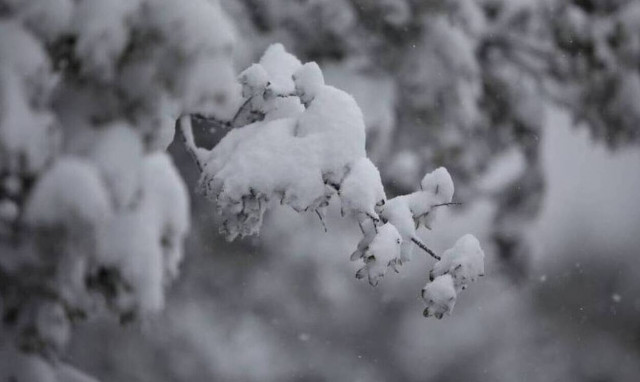 Snow and rain expected as new cold front 'Hephaestion' arrives in Greece	