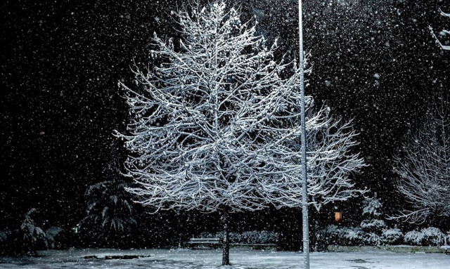 Καιρός: «Σκέπασε» τη χώρα ο «Ηφαιστίων» - Λευκό τοπίο στη μισή Ελλάδα- Χιονίζει στην Πάρνηθα