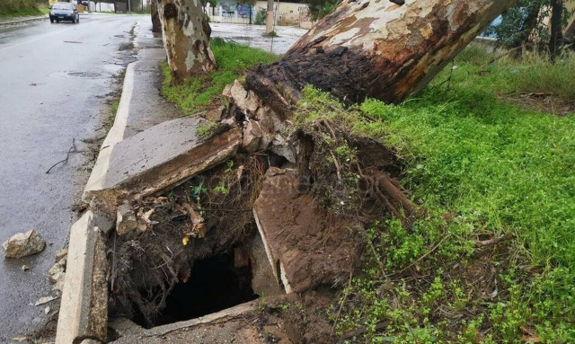 Ηφαιστίων: Απίστευτες εικόνες στα Χανιά - Ξεριζώθηκε δέντρο στη Σούδα 