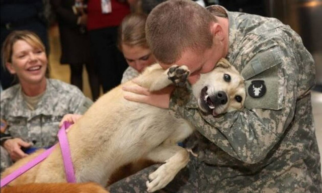 Φαντάρος γυρίζει από τον πόλεμο κι ο σκύλος του ξεσαλώνει! (vid)