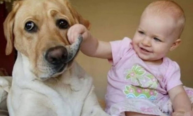 Μωράκι βλέπει κουτάβι και η αντίδρασή του μας… έλιωσε! (vid)