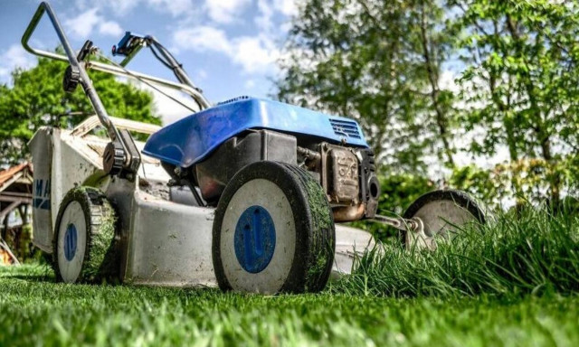 Τρόμος στην Ηλεία: Δεν πίστευε στα μάτια του με αυτό που ανακάλυψε στην αυλή του σπιτιού