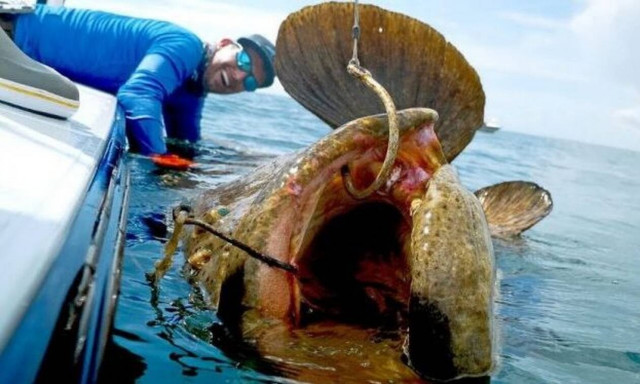 Αυτό δεν είναι ψάρι, αυτό είναι το… τέρας του Λόχ Nες!