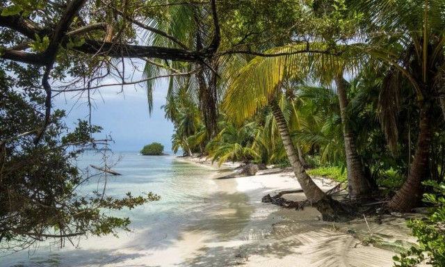 Φρίκη: Εξαφανίστηκαν όλοι από την παραλία όταν είδαν να βγαίνει αυτό από το νερό