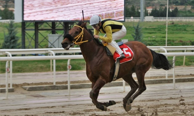 Markopoulo Park: Αυλαία στο 2019 με μεγάλα κέρδη στο ΣΚΟΡ 6