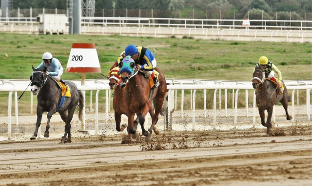 Markopoulo Park: Σημαντικά κέρδη για 15 νικητές του ΣΚΟΡ 6 στην 1η ιπποδρομιακή συγκέντρωση φέτος