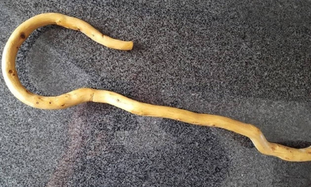 Αντισκάρι: Αναβιώνει στο δικαστήριο το άγριο έγκλημα με τις… μαγκούρες