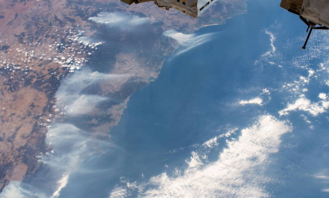 Australia: Rain brigns temporary relief to Australian bushfires