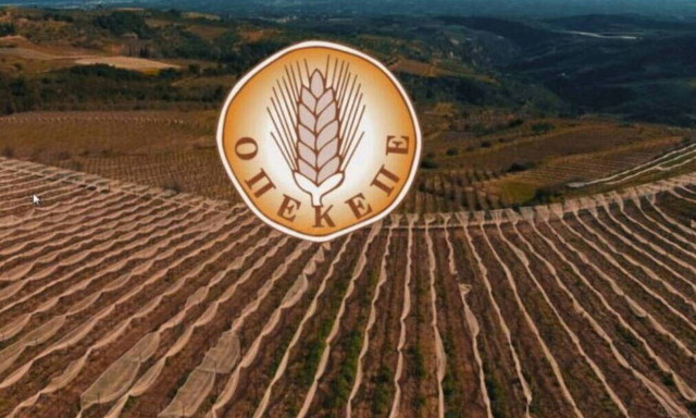 Νέα πληρωμή του ΟΠΕΚΕΠΕ: Στο ταμείο 8.383 αγρότες