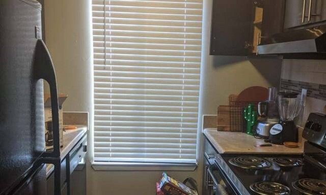 Κάπου είναι κρυμμένη μία γάτα - Μπορείτε να την βρείτε; (pics)