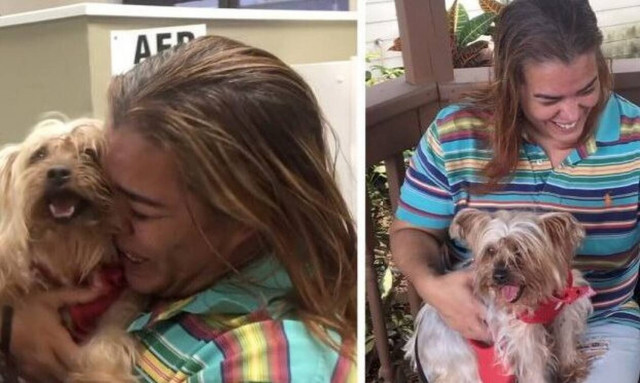 Σκυλίτσα συναντάει την αφεντικίνα της μετά από 3 χρόνια και η αντίδραση θα σε… γονατίσει! (vid)