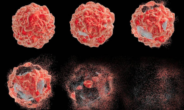 Καρκίνος: Τυχαία ανακάλυψη δίνει ελπίδες για θεραπεία όλων των μορφών
