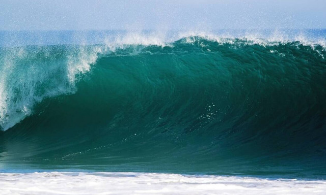 Φρίκη σε παραλία: Δείτε τι... βγήκε από τη θάλασσα (pics)