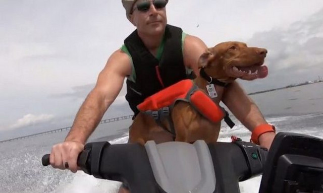 Τι κάνεις ρε σκύλε! Δείτε το εξωπραγματικό βίντεο