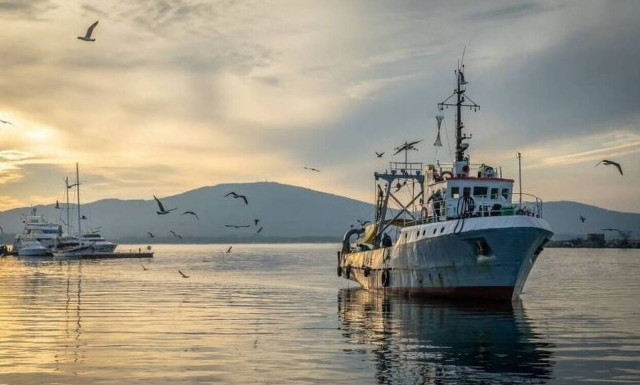 Μάνη: Απίστευτες εικόνες στην κεντρική αγορά - «Άφωνοι» όσοι είδαν το... θέαμα (pics)