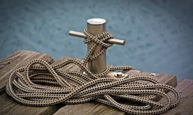 Κάρυστος: Οι επισκέπτες ήταν δύο πανέμορφα πλάσματα