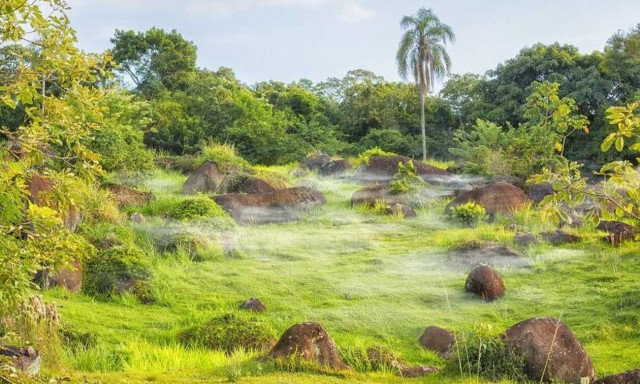 Ταξίδι - εφιάλτης! Χάθηκαν στη ζούγκλα - Πού τους βρήκαν 34 μέρες μετά