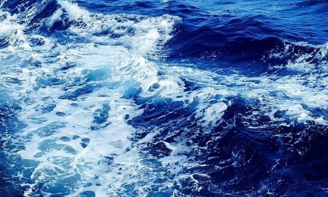 Αυτό που είδαν στην θάλασσα στην Εύβοια, δεν θα το ξεχασουν ποτέ (pics)