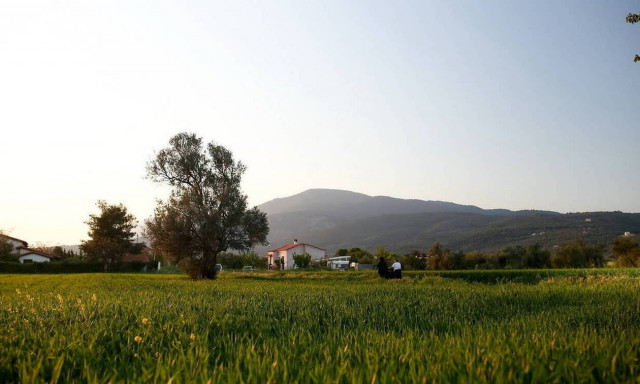 Καιρός: Με ήλιο και άνοδο της θερμοκρασίας η Παρασκευή