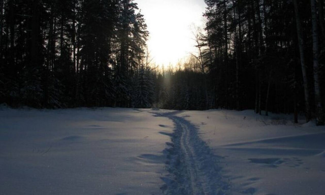 Μακελειό στα χιόνια: Τους βρήκαν γυμνούς, χωρίς μάτια και γλώσσα 