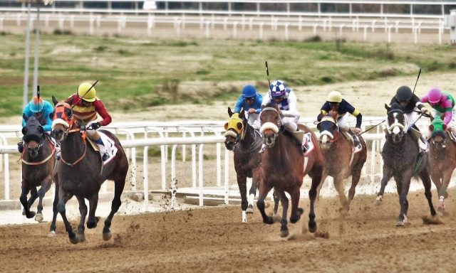 Μarkopoulo Park: Το τζακ ποτ στο ΣΚΟΡ 6 μοιράζει περισσότερα από 50.000 ευρώ