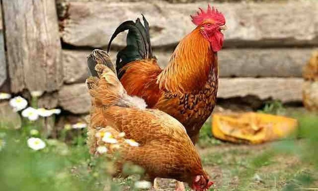 Δεν πίστευαν στα μάτια τους με αυτό που είδαν σε χωριό της Εύβοιας