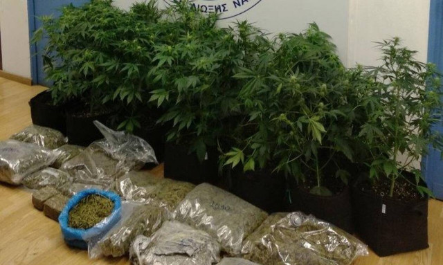 Έξι συλλήψεις σε αστυνομική επιχείρηση για καλλιέργεια και διακίνηση ναρκωτικών