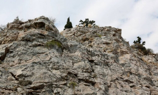 Έγκλημα στου Φιλοπάππου: Στο εδώλιο σήμερα ο ένας καταδικασθείς για τη δολοφονία του Ν. Μουστάκα