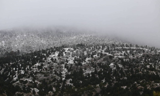 Weather forecast: Sleet, snow and low temperatures on Thursday (06/02/2020)
