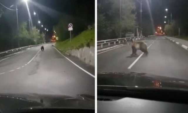 Οδηγούσε στην Εθνική και ξαφνικά της συνέβη κάτι αναπάντεχο! (vid)