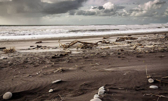 Φρίκη σε παραλία: Ούρλιαζαν με αυτό που ξέβρασε η θάλασσα (pics)