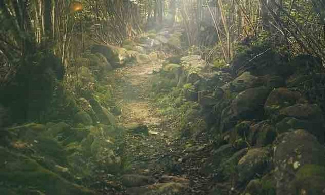 Δεν θα πιστέψεις που είναι κρυμμένο ένα θαυματουργό εκκλησάκι στην Εύβοια