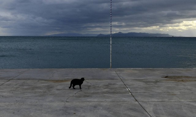 Απίστευτη ψαριά στο Ναύπλιο - Τι έβγαλαν από τη θάλασσα (pics)